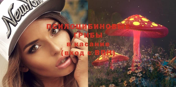крисы Балахна