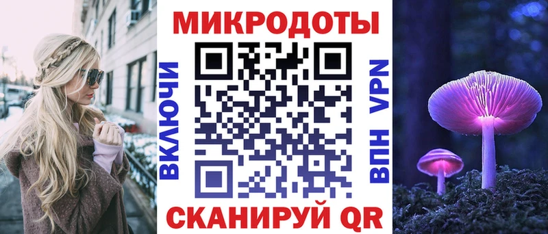 Псилоцибиновые грибы Psilocybe  Купить закладки  Железногорск-Илимский 